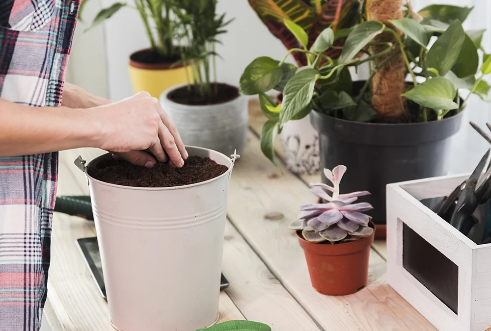 Le compost à la maison, transformez vos déchets en richesse pour votre sol