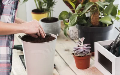 Le compost à la maison, transformez vos déchets en richesse pour votre sol