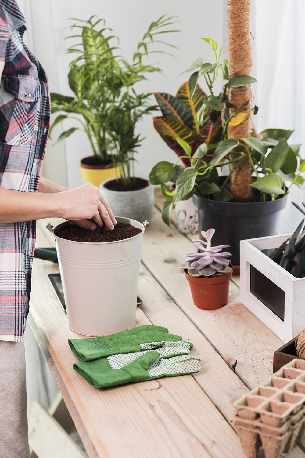 compost nature jardinage conseils maison le declic magazine